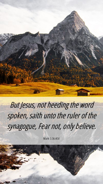 Picture 06 - Mark 5:36 ASV Mobile Phone Wallpaper - But Jesus, not heeding the word spoken, saith - Mobile Bible Verse Wallpaper