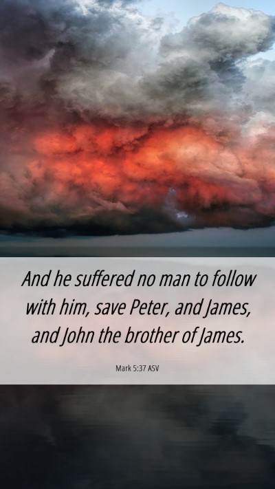 Picture 06 - Mark 5:37 ASV Mobile Phone Wallpaper - And he suffered no man to follow with him, save - Mobile Bible Verse Wallpaper