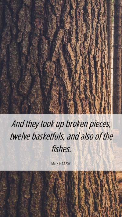 Picture 06 - Mark 6:43 ASV Mobile Phone Wallpaper - And they took up broken pieces, twelve - Mobile Bible Verse Wallpaper