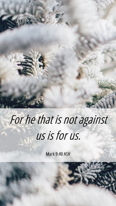 Picture 06 - Mark 9:40 ASV Mobile Phone Wallpaper - For he that is not against us is for - Mobile Bible Verse Wallpaper