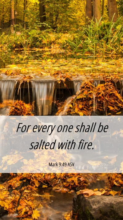 Picture 06 - Mark 9:49 ASV Mobile Phone Wallpaper - For every one shall be salted with - Mobile Bible Verse Wallpaper
