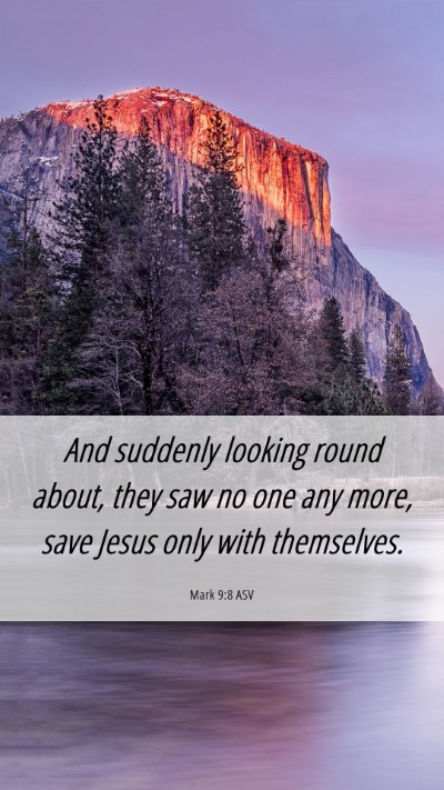 Picture 06 - Mark 9:8 ASV Mobile Phone Wallpaper - And suddenly looking round about, they saw no one - Mobile Bible Verse Wallpaper