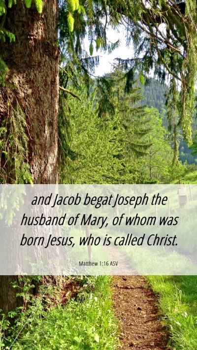 Picture 06 - Matthew 1:16 ASV Mobile Phone Wallpaper - and Jacob begat Joseph the husband of Mary, of - Mobile Bible Verse Wallpaper