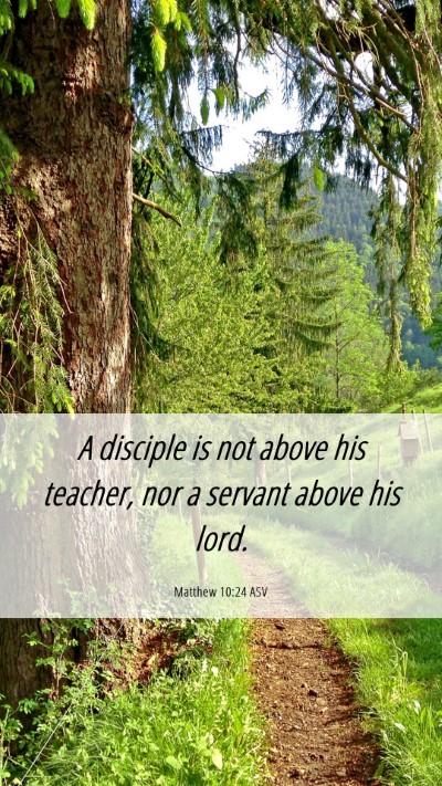 Picture 06 - Matthew 10:24 ASV Mobile Phone Wallpaper - A disciple is not above his teacher, nor a - Mobile Bible Verse Wallpaper