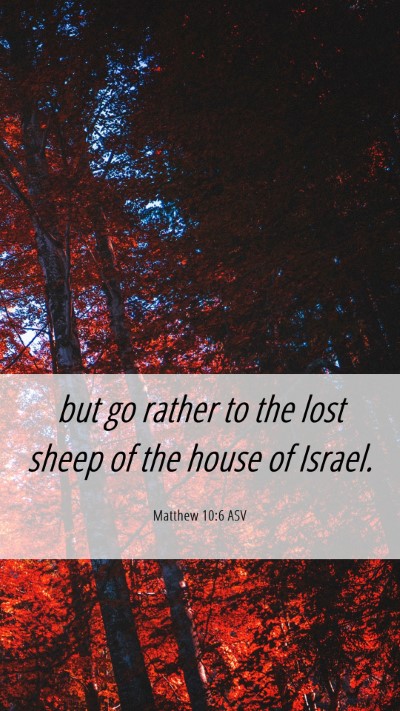 Picture 06 - Matthew 10:6 ASV Mobile Phone Wallpaper - but go rather to the lost sheep of the house of - Mobile Bible Verse Wallpaper