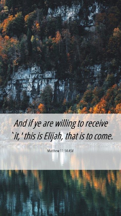Picture 06 - Matthew 11:14 ASV Mobile Phone Wallpaper - And if ye are willing to receive `it,' this is - Mobile Bible Verse Wallpaper