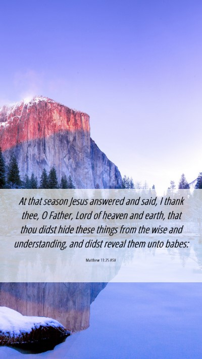 Picture 06 - Matthew 11:25 ASV Mobile Phone Wallpaper - At that season Jesus answered and said, I thank - Mobile Bible Verse Wallpaper