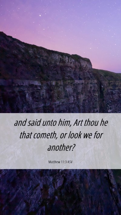 Picture 06 - Matthew 11:3 ASV Mobile Phone Wallpaper - and said unto him, Art thou he that cometh, or - Mobile Bible Verse Wallpaper