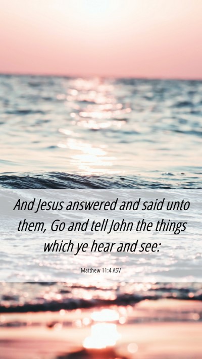 Picture 06 - Matthew 11:4 ASV Mobile Phone Wallpaper - And Jesus answered and said unto them, Go and - Mobile Bible Verse Wallpaper
