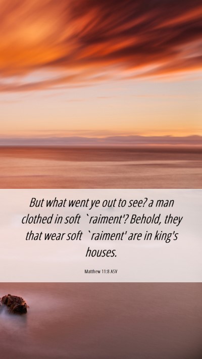 Picture 06 - Matthew 11:8 ASV Mobile Phone Wallpaper - But what went ye out to see? a man clothed in - Mobile Bible Verse Wallpaper