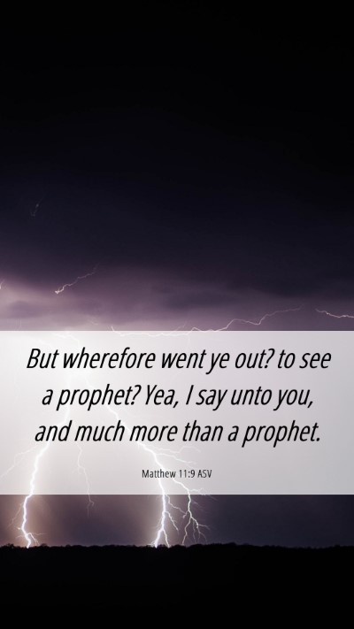 Picture 06 - Matthew 11:9 ASV Mobile Phone Wallpaper - But wherefore went ye out? to see a prophet? Yea, - Mobile Bible Verse Wallpaper