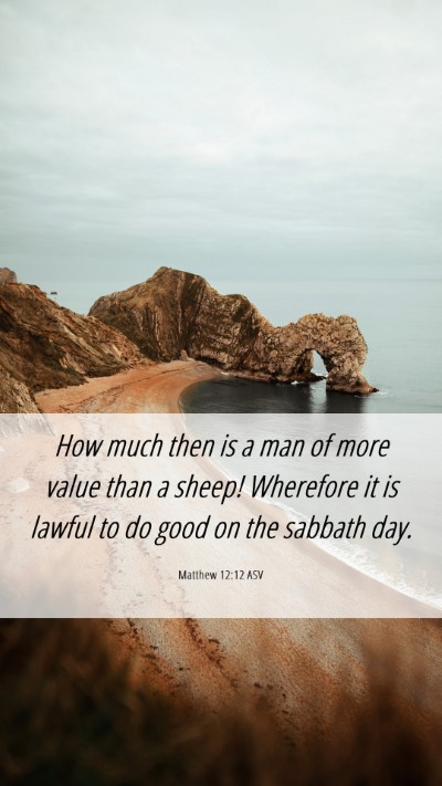 Picture 06 - Matthew 12:12 ASV Mobile Phone Wallpaper - How much then is a man of more value than a - Mobile Bible Verse Wallpaper