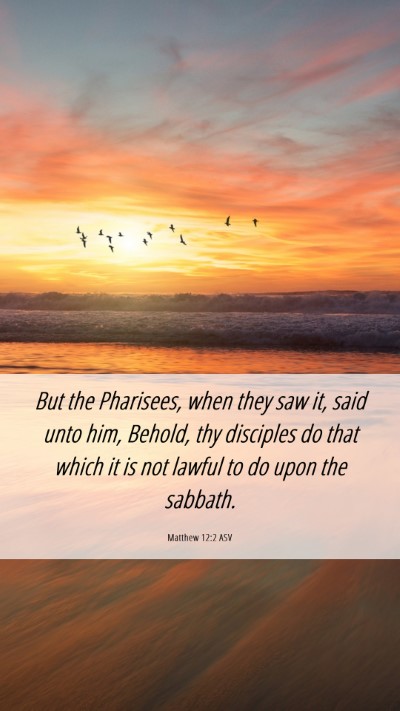 Picture 06 - Matthew 12:2 ASV Mobile Phone Wallpaper - But the Pharisees, when they saw it, said unto - Mobile Bible Verse Wallpaper