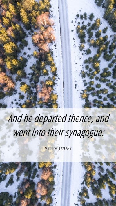 Picture 06 - Matthew 12:9 ASV Mobile Phone Wallpaper - And he departed thence, and went into their - Mobile Bible Verse Wallpaper