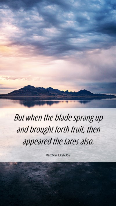 Picture 06 - Matthew 13:26 ASV Mobile Phone Wallpaper - But when the blade sprang up and brought forth - Mobile Bible Verse Wallpaper