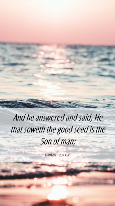 Picture 06 - Matthew 13:37 ASV Mobile Phone Wallpaper - And he answered and said, He that soweth the good - Mobile Bible Verse Wallpaper