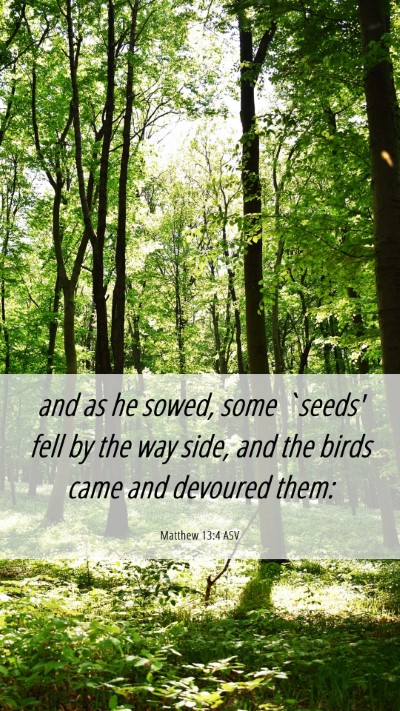 Picture 06 - Matthew 13:4 ASV Mobile Phone Wallpaper - and as he sowed, some `seeds' fell by the way - Mobile Bible Verse Wallpaper