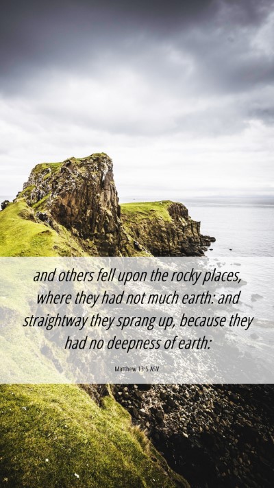 Picture 06 - Matthew 13:5 ASV Mobile Phone Wallpaper - and others fell upon the rocky places, where they - Mobile Bible Verse Wallpaper