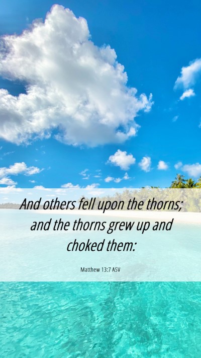 Picture 06 - Matthew 13:7 ASV Mobile Phone Wallpaper - And others fell upon the thorns; and the thorns - Mobile Bible Verse Wallpaper