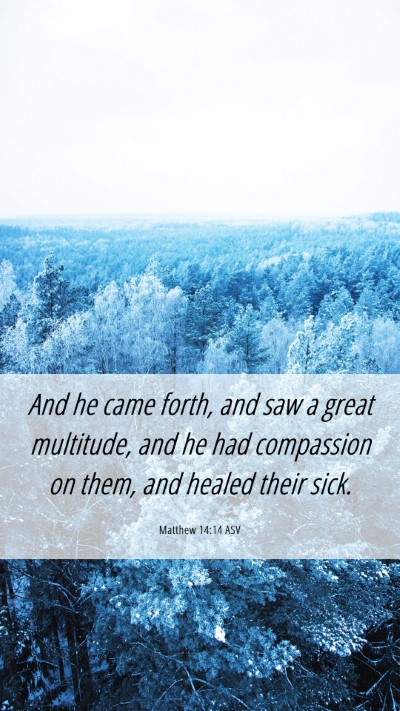 Picture 06 - Matthew 14:14 ASV Mobile Phone Wallpaper - And he came forth, and saw a great multitude, and - Mobile Bible Verse Wallpaper