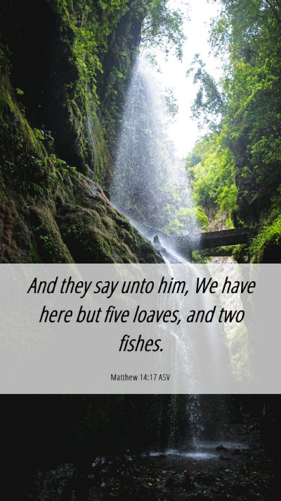 Picture 06 - Matthew 14:17 ASV Mobile Phone Wallpaper - And they say unto him, We have here but five - Mobile Bible Verse Wallpaper
