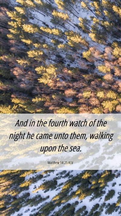 Picture 06 - Matthew 14:25 ASV Mobile Phone Wallpaper - And in the fourth watch of the night he came unto - Mobile Bible Verse Wallpaper