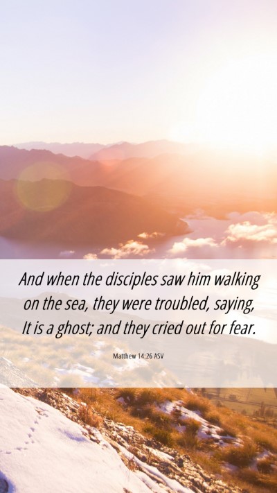 Picture 06 - Matthew 14:26 ASV Mobile Phone Wallpaper - And when the disciples saw him walking on the - Mobile Bible Verse Wallpaper