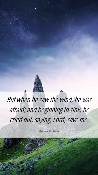 Picture 06 - Matthew 14:30 ASV Mobile Phone Wallpaper - But when he saw the wind, he was afraid; and - Mobile Bible Verse Wallpaper