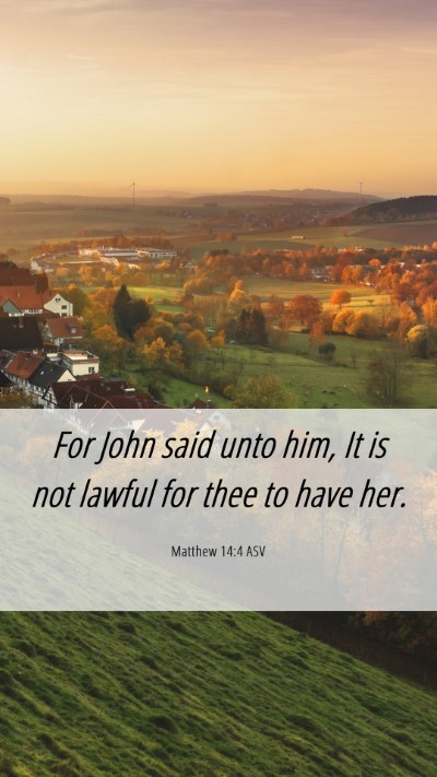Picture 06 - Matthew 14:4 ASV Mobile Phone Wallpaper - For John said unto him, It is not lawful for thee - Mobile Bible Verse Wallpaper