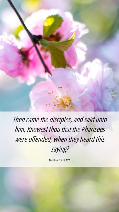 Picture 06 - Matthew 15:12 ASV Mobile Phone Wallpaper - Then came the disciples, and said unto him, - Mobile Bible Verse Wallpaper
