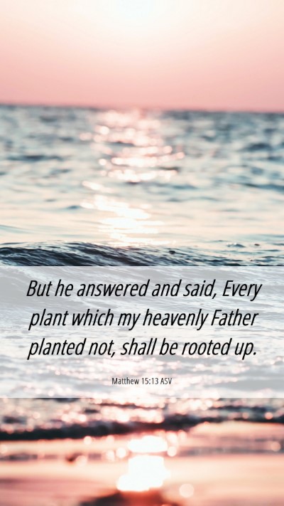 Picture 06 - Matthew 15:13 ASV Mobile Phone Wallpaper - But he answered and said, Every plant which my - Mobile Bible Verse Wallpaper