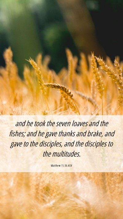 Picture 06 - Matthew 15:36 ASV Mobile Phone Wallpaper - and he took the seven loaves and the fishes; and - Mobile Bible Verse Wallpaper