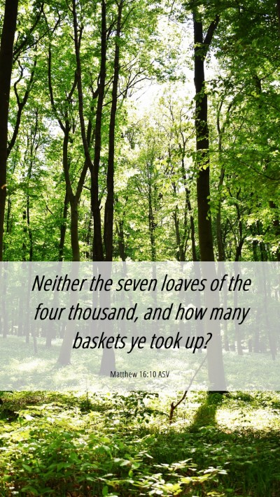 Picture 06 - Matthew 16:10 ASV Mobile Phone Wallpaper - Neither the seven loaves of the four thousand, - Mobile Bible Verse Wallpaper