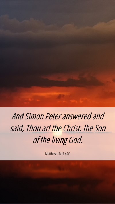 Picture 06 - Matthew 16:16 ASV Mobile Phone Wallpaper - And Simon Peter answered and said, Thou art the - Mobile Bible Verse Wallpaper