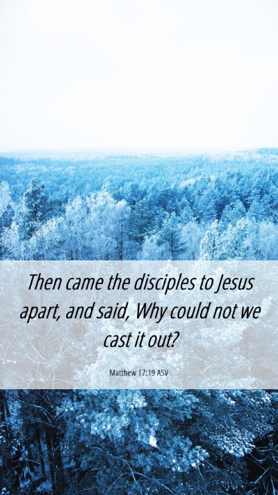 Picture 06 - Matthew 17:19 ASV Mobile Phone Wallpaper - Then came the disciples to Jesus apart, and said, - Mobile Bible Verse Wallpaper