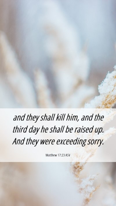 Picture 06 - Matthew 17:23 ASV Mobile Phone Wallpaper - and they shall kill him, and the third day he - Mobile Bible Verse Wallpaper