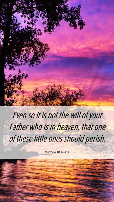 Picture 06 - Matthew 18:14 ASV Mobile Phone Wallpaper - Even so it is not the will of your Father who is - Mobile Bible Verse Wallpaper