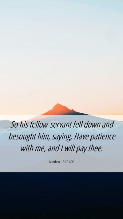 Picture 06 - Matthew 18:29 ASV Mobile Phone Wallpaper - So his fellow-servant fell down and besought him, - Mobile Bible Verse Wallpaper