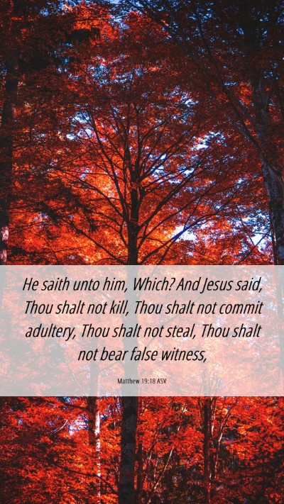 Picture 06 - Matthew 19:18 ASV Mobile Phone Wallpaper - He saith unto him, Which? And Jesus said, Thou - Mobile Bible Verse Wallpaper