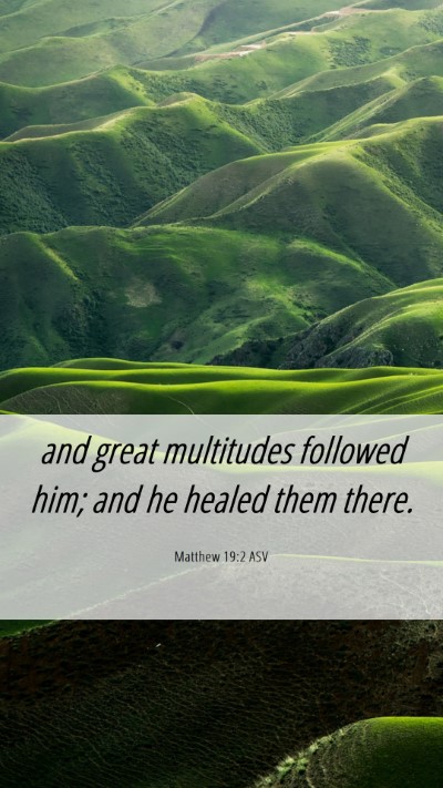 Picture 06 - Matthew 19:2 ASV Mobile Phone Wallpaper - and great multitudes followed him; and he healed - Mobile Bible Verse Wallpaper