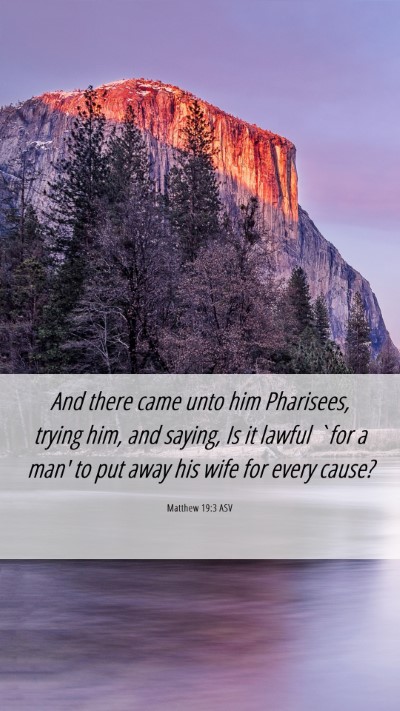 Picture 06 - Matthew 19:3 ASV Mobile Phone Wallpaper - And there came unto him Pharisees, trying him, - Mobile Bible Verse Wallpaper