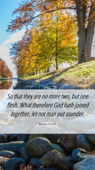 Picture 06 - Matthew 19:6 ASV Mobile Phone Wallpaper - So that they are no more two, but one flesh. What - Mobile Bible Verse Wallpaper