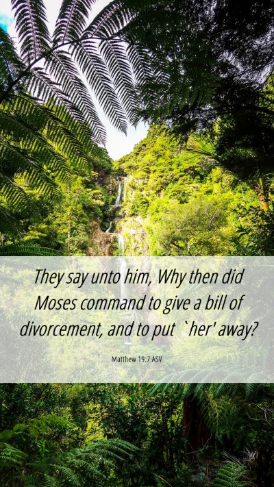 Picture 06 - Matthew 19:7 ASV Mobile Phone Wallpaper - They say unto him, Why then did Moses command to - Mobile Bible Verse Wallpaper