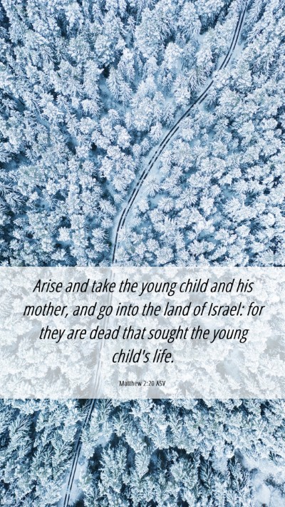 Picture 06 - Matthew 2:20 ASV Mobile Phone Wallpaper - Arise and take the young child and his mother, - Mobile Bible Verse Wallpaper