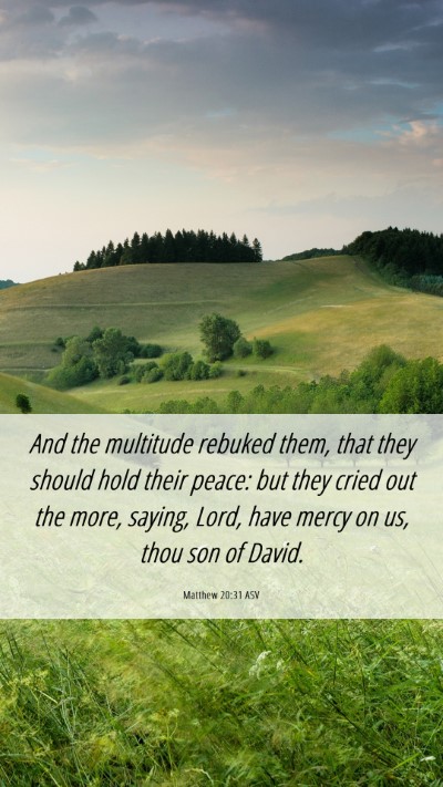 Picture 06 - Matthew 20:31 ASV Mobile Phone Wallpaper - And the multitude rebuked them, that they should - Mobile Bible Verse Wallpaper