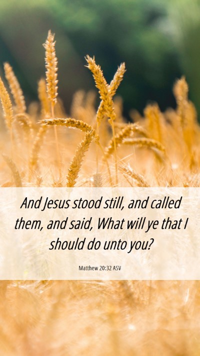 Picture 06 - Matthew 20:32 ASV Mobile Phone Wallpaper - And Jesus stood still, and called them, and said, - Mobile Bible Verse Wallpaper