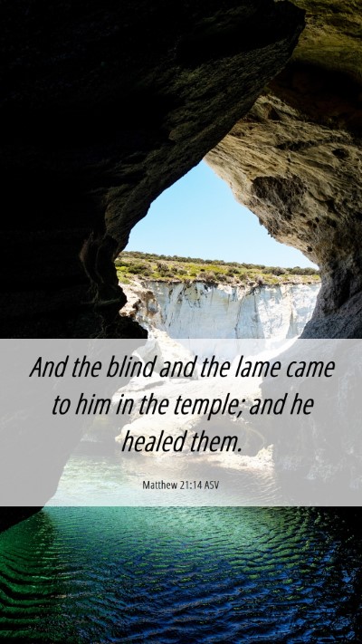 Picture 06 - Matthew 21:14 ASV Mobile Phone Wallpaper - And the blind and the lame came to him in the - Mobile Bible Verse Wallpaper