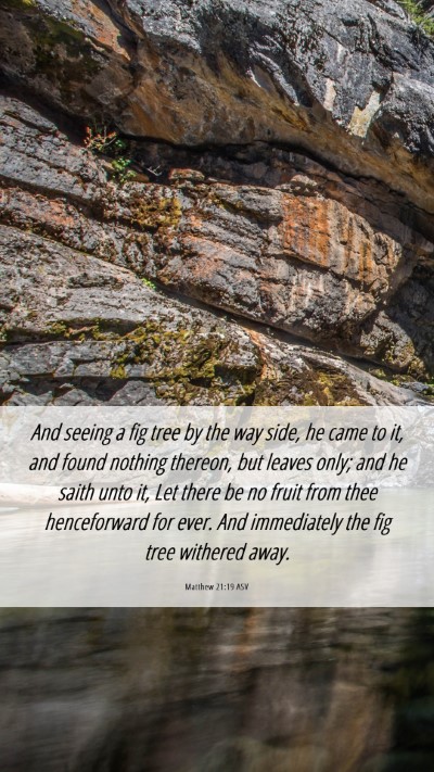 Picture 06 - Matthew 21:19 ASV Mobile Phone Wallpaper - And seeing a fig tree by the way side, he came to - Mobile Bible Verse Wallpaper