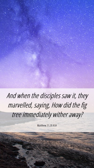 Picture 06 - Matthew 21:20 ASV Mobile Phone Wallpaper - And when the disciples saw it, they marvelled, - Mobile Bible Verse Wallpaper