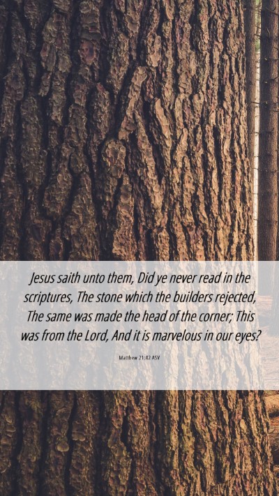 Picture 06 - Matthew 21:42 ASV Mobile Phone Wallpaper - Jesus saith unto them, Did ye never read in the - Mobile Bible Verse Wallpaper